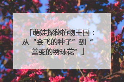 萌娃探秘植物王国：从“会飞的种子”到“善变的绣球花”
