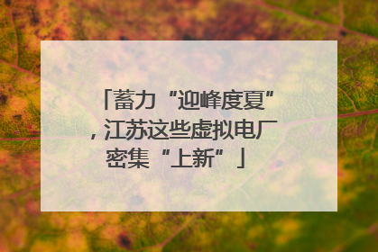 蓄力“迎峰度夏”，江苏这些虚拟电厂密集“上新”