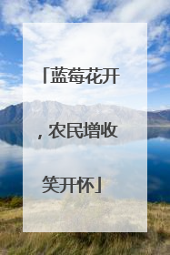 蓝莓花开，农民增收笑开怀