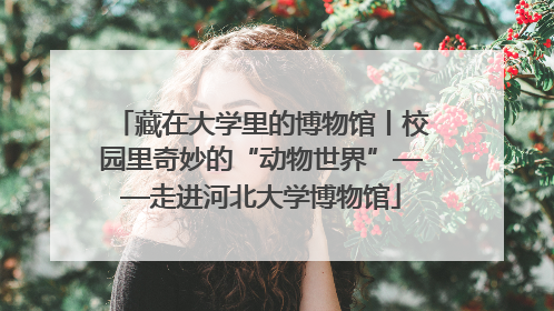 藏在大学里的博物馆丨校园里奇妙的“动物世界”——走进河北大学博物馆