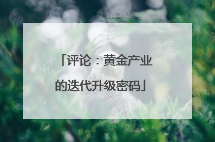 评论：黄金产业的迭代升级密码
