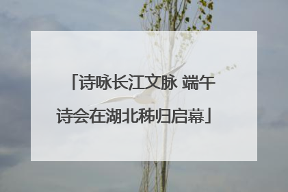 诗咏长江文脉 端午诗会在湖北秭归启幕