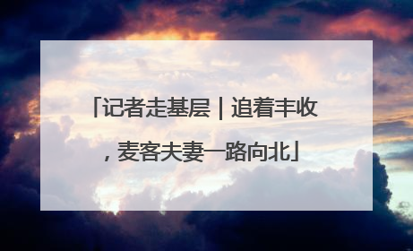 记者走基层｜追着丰收，麦客夫妻一路向北
