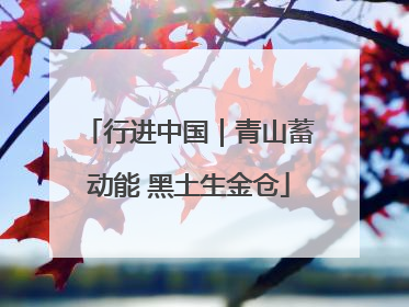行进中国｜青山蓄动能 黑土生金仓