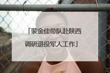 裴金佳带队赴陕西调研退役军人工作