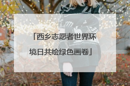 西乡志愿者世界环境日共绘绿色画卷
