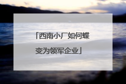 西南小厂如何蝶变为领军企业