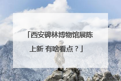 西安碑林博物馆展陈上新 有啥看点？