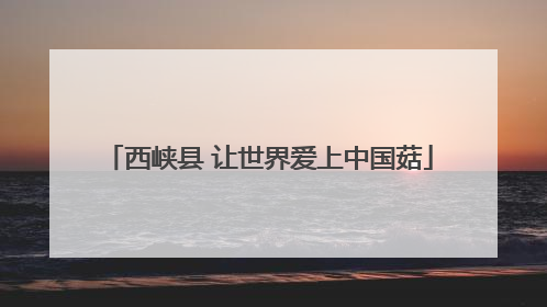 西峡县 让世界爱上中国菇