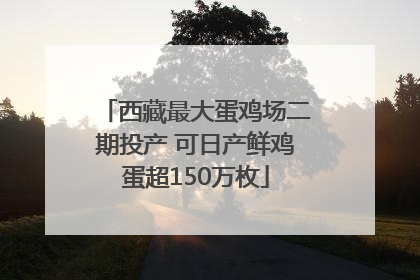 西藏最大蛋鸡场二期投产 可日产鲜鸡蛋超150万枚