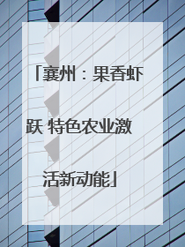 襄州：果香虾跃 特色农业激活新动能
