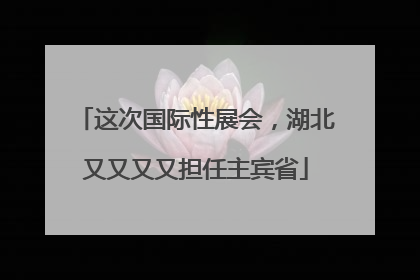 这次国际性展会，湖北又又又又担任主宾省