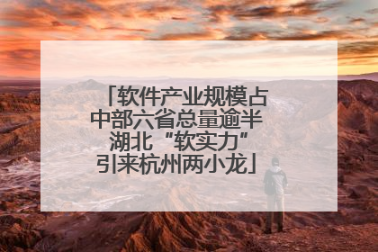 软件产业规模占中部六省总量逾半 湖北“软实力”引来杭州两小龙