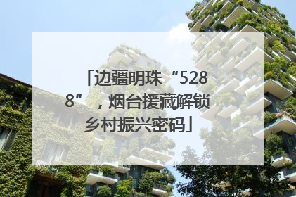 边疆明珠“5288”，烟台援藏解锁乡村振兴密码