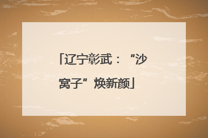 辽宁彰武：“沙窝子”焕新颜