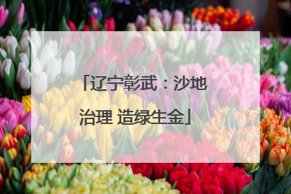 辽宁彰武：沙地治理 造绿生金