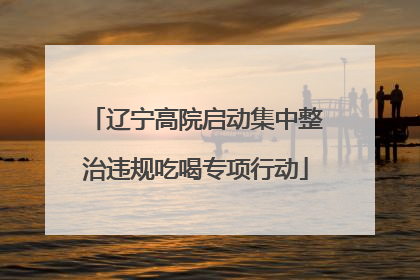 辽宁高院启动集中整治违规吃喝专项行动
