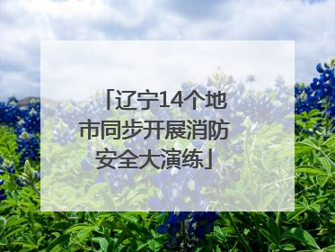 辽宁14个地市同步开展消防安全大演练
