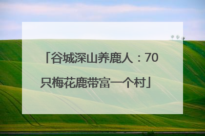 谷城深山养鹿人：70只梅花鹿带富一个村