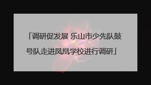 调研促发展 乐山市少先队鼓号队走进凤凰学校进行调研