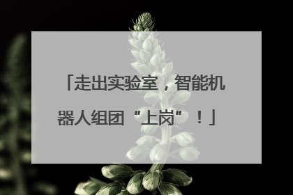 走出实验室，智能机器人组团“上岗”！