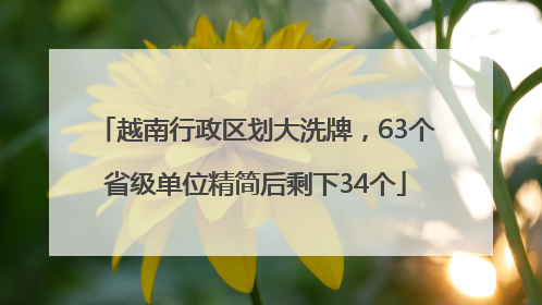 越南行政区划大洗牌,63个省级单位精简后剩下34个