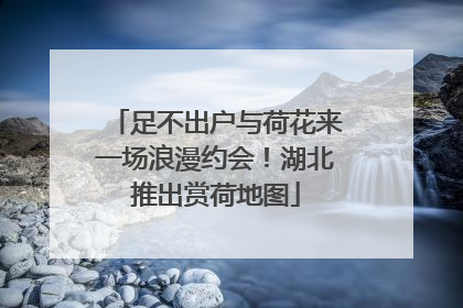 足不出户与荷花来一场浪漫约会！湖北推出赏荷地图