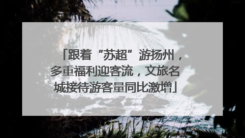 跟着“苏超”游扬州，多重福利迎客流，文旅名城接待游客量同比激增