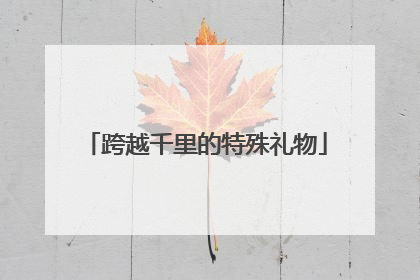 跨越千里的特殊礼物