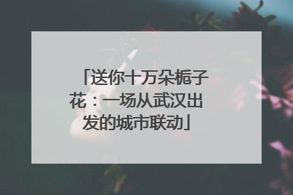 送你十万朵栀子花：一场从武汉出发的城市联动