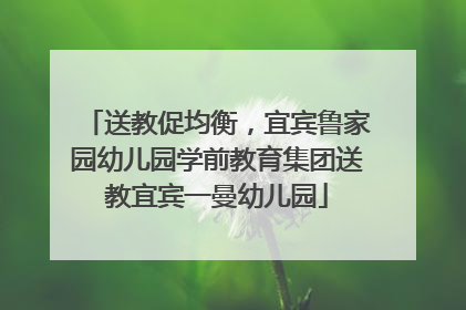 送教促均衡，宜宾鲁家园幼儿园学前教育集团送教宜宾一曼幼儿园