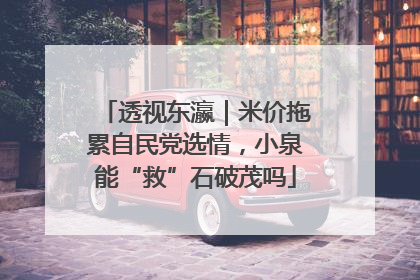 透视东瀛｜米价拖累自民党选情，小泉能“救”石破茂吗