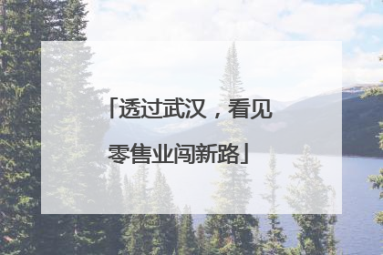 透过武汉，看见零售业闯新路