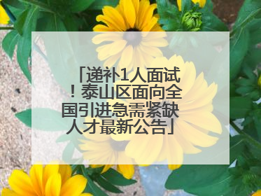 递补1人面试！泰山区面向全国引进急需紧缺人才最新公告