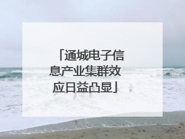通城电子信息产业集群效应日益凸显