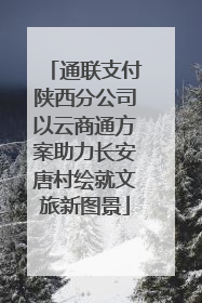 通联支付陕西分公司以云商通方案助力长安唐村绘就文旅新图景