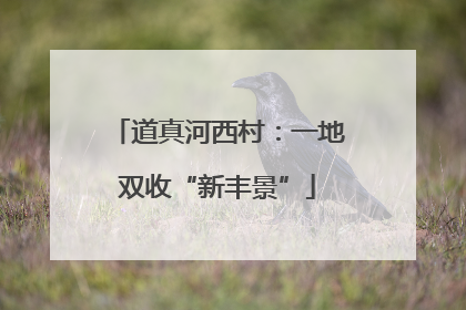 道真河西村：一地双收“新丰景”