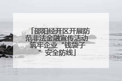 邵阳经开区开展防范非法金融宣传活动 筑牢企业“钱袋子”安全防线