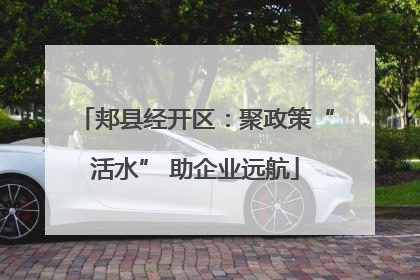 郏县经开区：聚政策“活水” 助企业远航