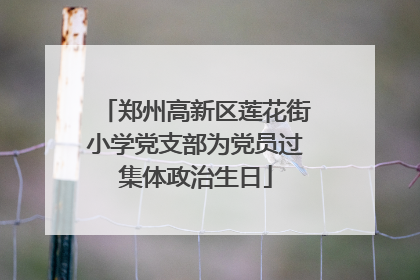 郑州高新区莲花街小学党支部为党员过集体政治生日