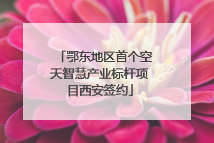 鄂东地区首个空天智慧产业标杆项目西安签约