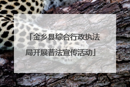 金乡县综合行政执法局开展普法宣传活动