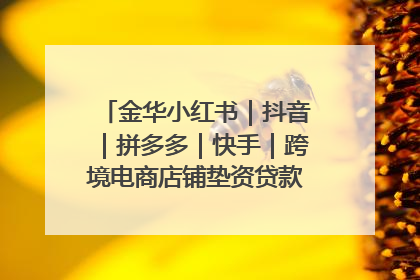 金华小红书｜抖音｜拼多多｜快手｜跨境电商店铺垫资贷款企业-漫商易
