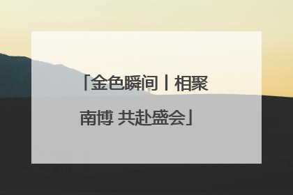 金色瞬间丨相聚南博 共赴盛会