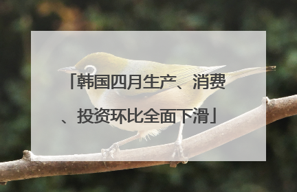韩国四月生产、消费、投资环比全面下滑