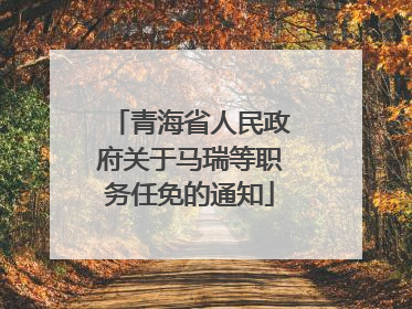 青海省人民政府关于马瑞等职务任免的通知