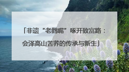 非遗“老鹳嘴”啄开致富路：会泽高山苦荞的传承与新生