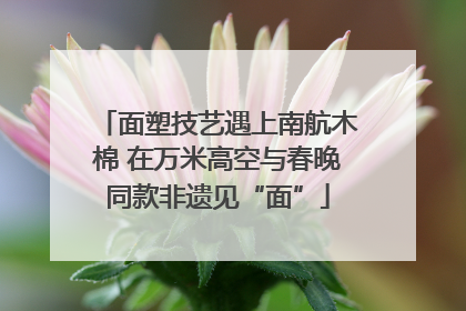 面塑技艺遇上南航木棉 在万米高空与春晚同款非遗见“面”