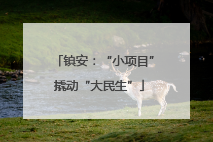 镇安：“小项目”撬动“大民生”