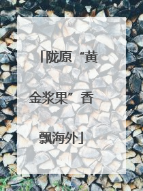 陇原“黄金浆果”香飘海外